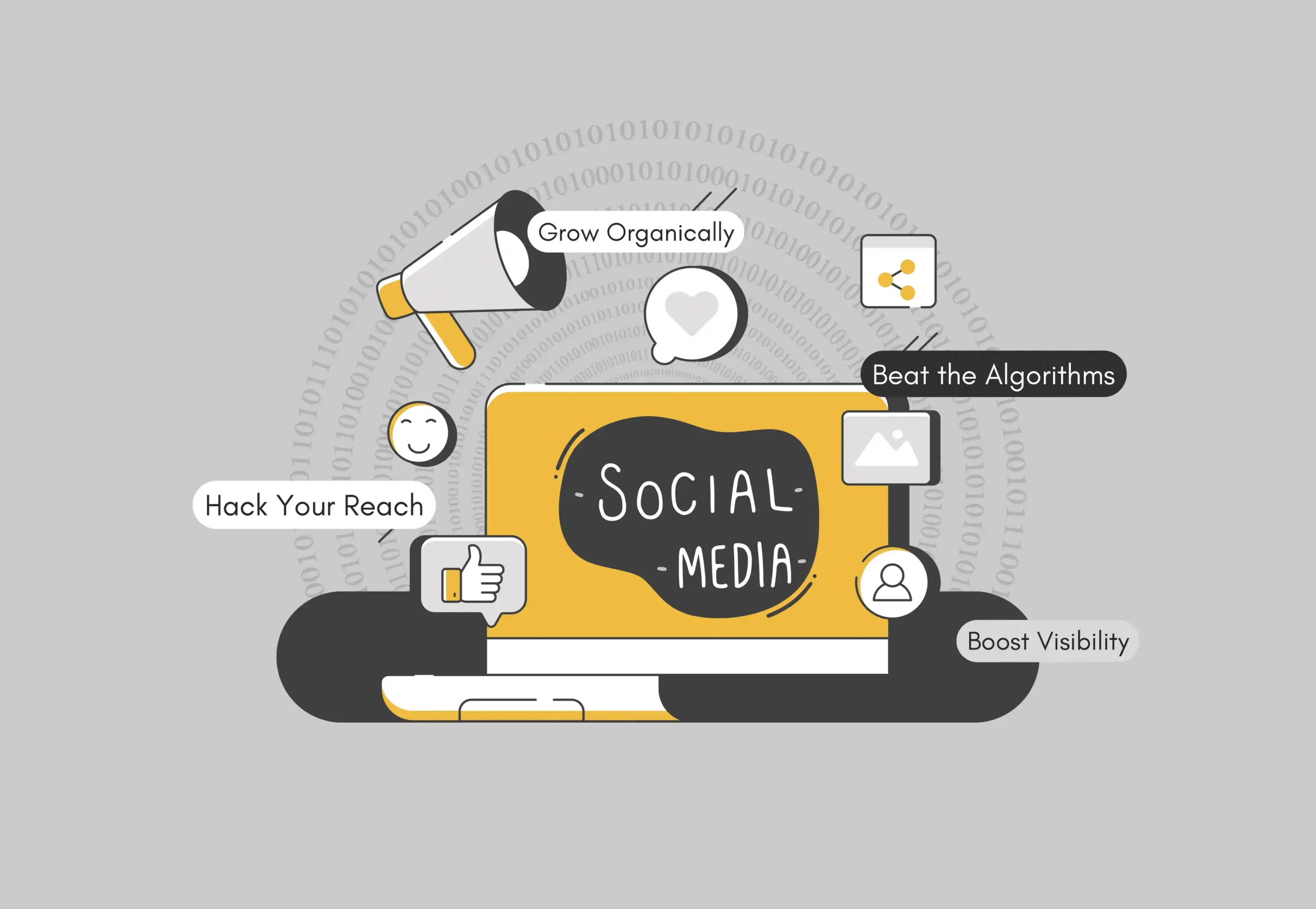 Social Media Algorithm Update