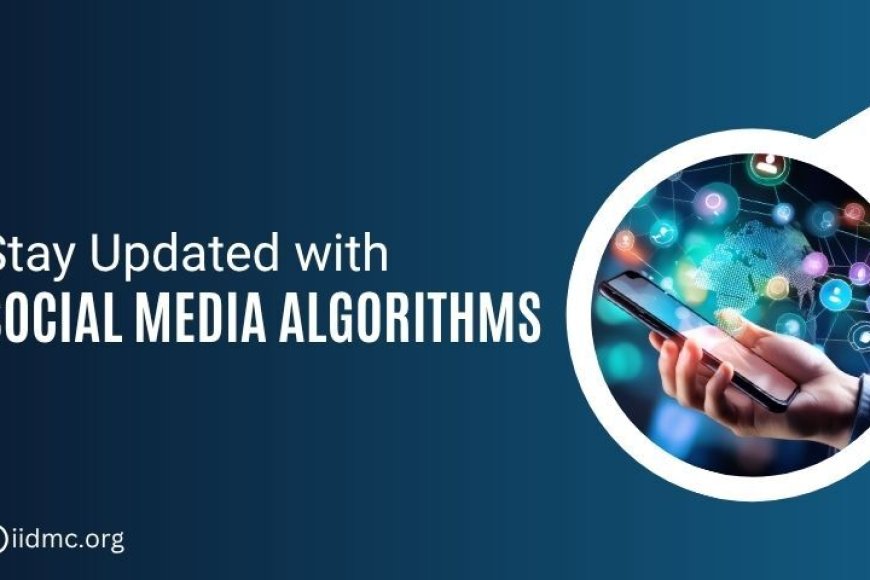 Social Media Algorithm Update