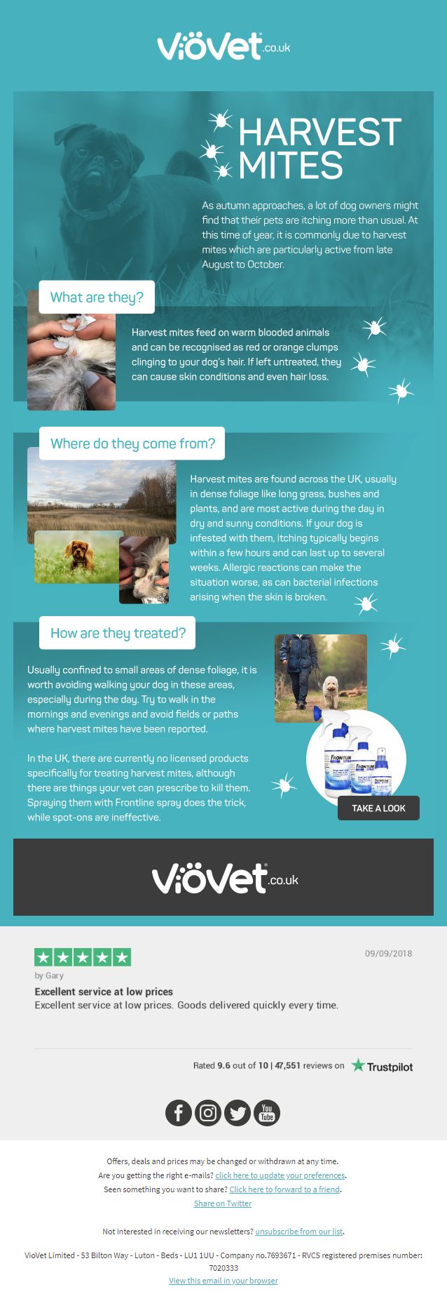 social proof testimonials web design