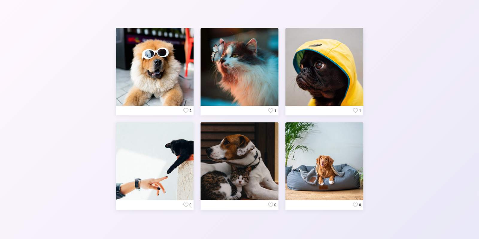 user-generated photo contest with product