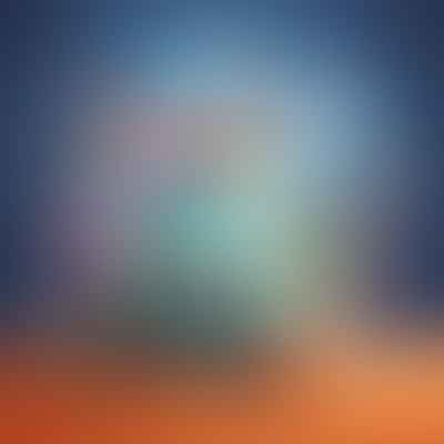 What is the purpose of Bitly on Your Custom Link?
