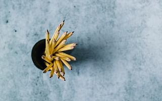🧠 Test Your Knowledge: Understanding Bitly's Purpose and Features